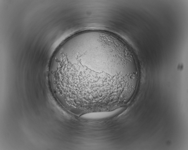 X0000110701325200907021948