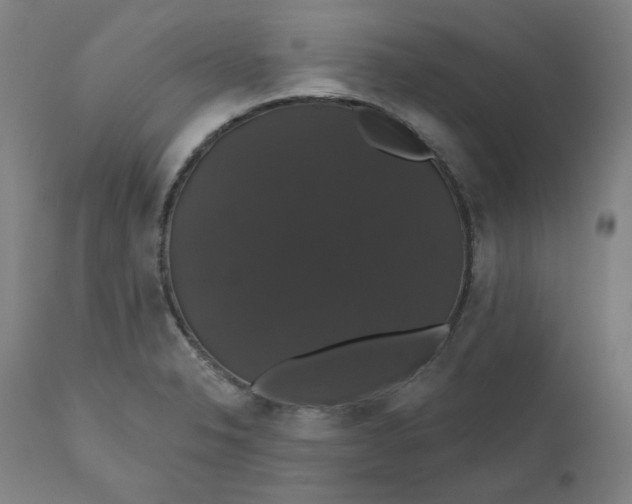 X0000110701326200907021949