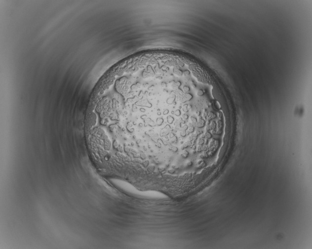 X0000110701329200907021949