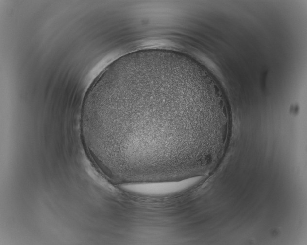 X0000110701330200907021949