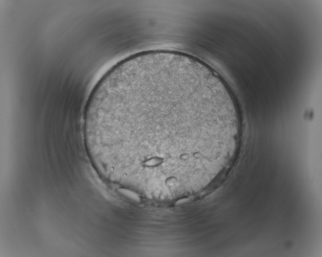 X0000110701332200907021949