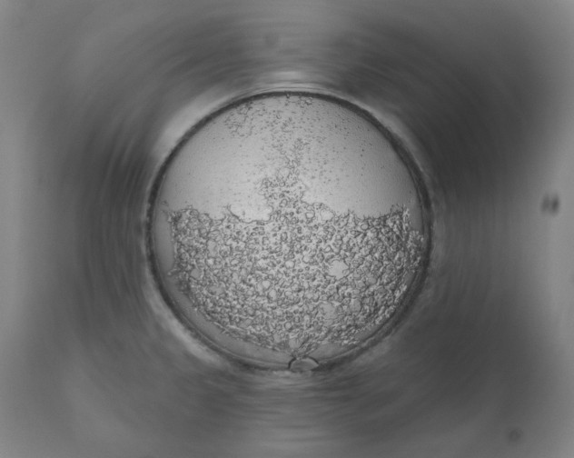 X0000110701333200907021949