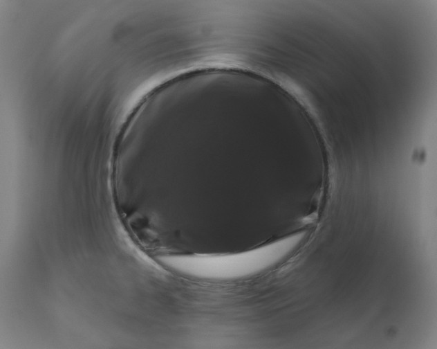 X0000110701334200907021949