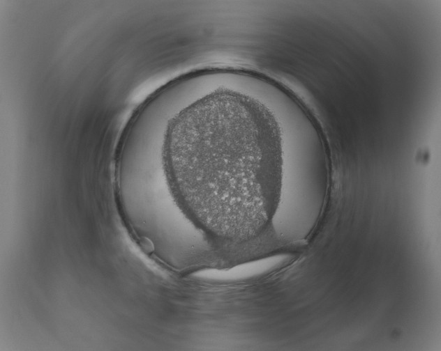 X0000110701335200907021949