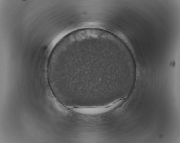 X0000110701336200907021949