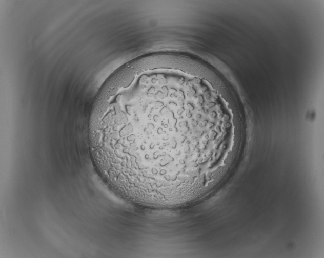 X0000110701337200907021949