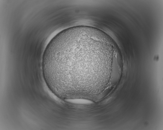 X0000110701339200907021949