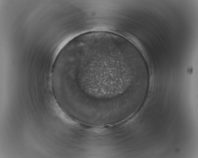 X0000110701340200907021949