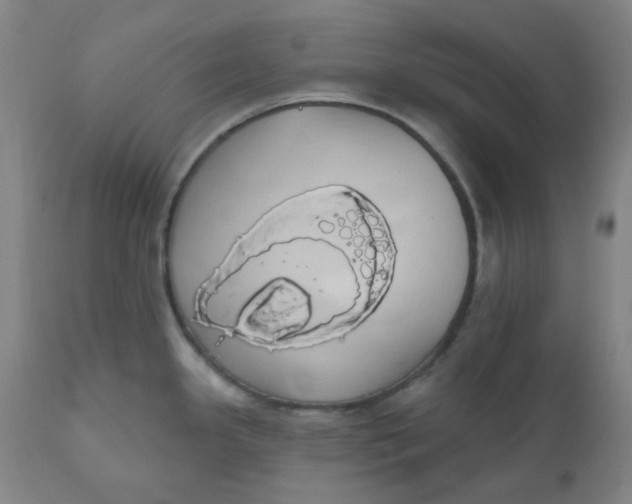 X0000110701341200907021949