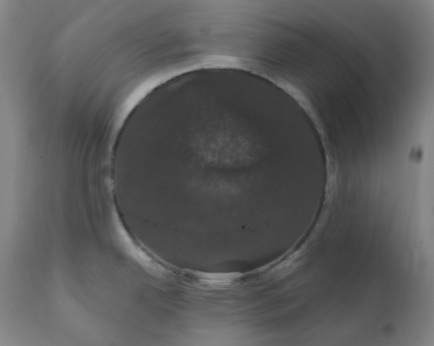 X0000110701342200907021949