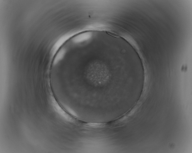 X0000110701344200907021949