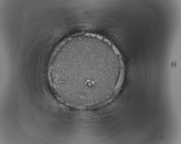 X0000110701345200907021948