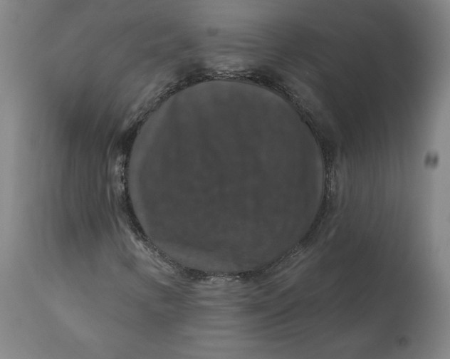 X0000110701346200907021948