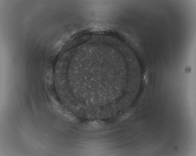 X0000110701348200907021948