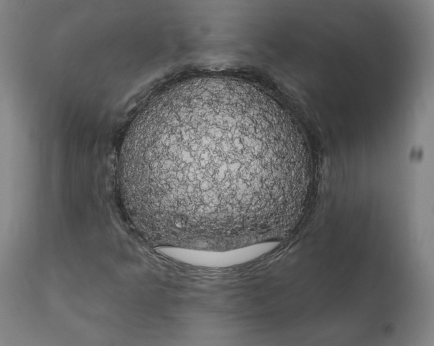 X0000110701349200907021948