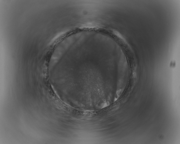 X0000110701350200907021948