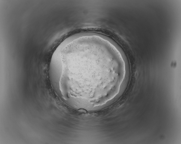 X0000110701351200907021948