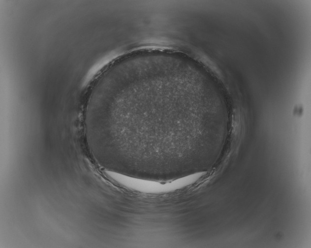 X0000110701352200907021948