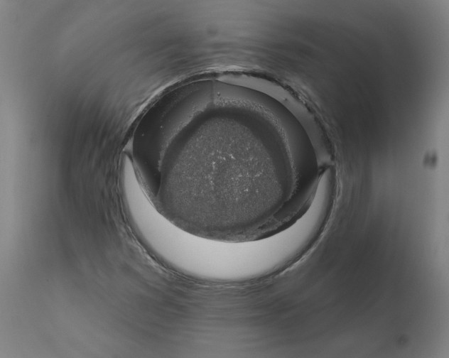 X0000110701353200907021948