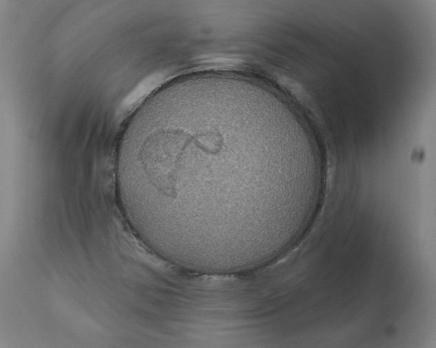 X0000110701354200907021948