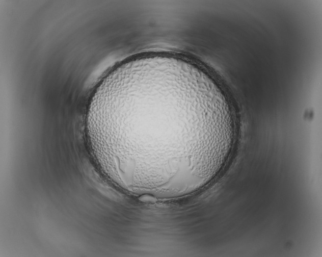 X0000110701355200907021948