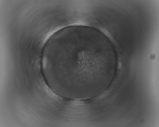 X0000110701356200907021948