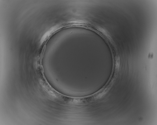 X0000110701357200907021948