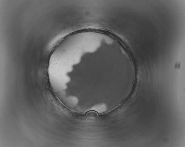 X0000110701359200907021948