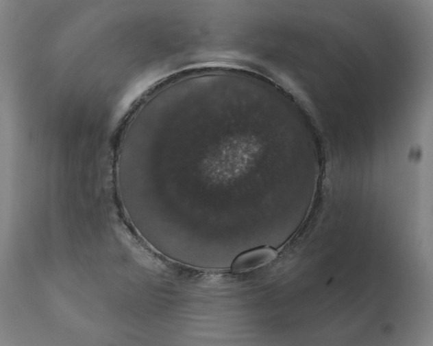 X0000110701360200907021948