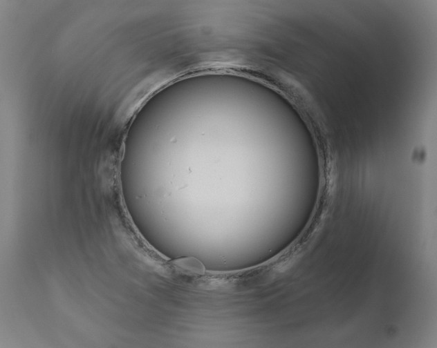 X0000110701361200907021948