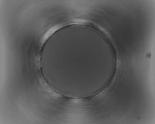 X0000110701362200907021948