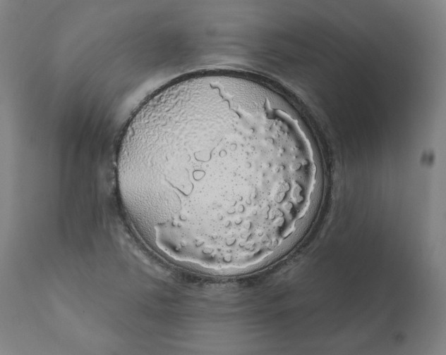 X0000110701363200907021948