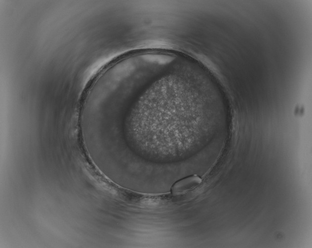 X0000110701364200907021948