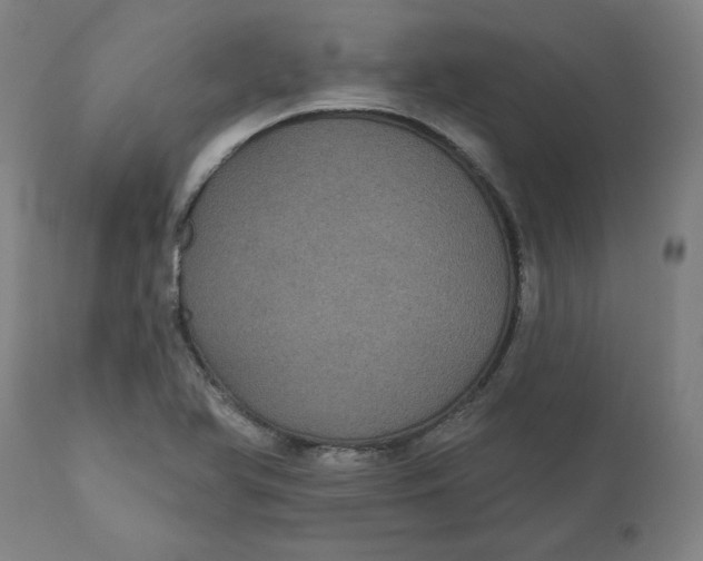 X0000110701366200907021948