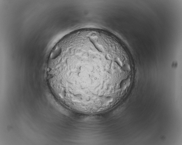 X0000110701367200907021948