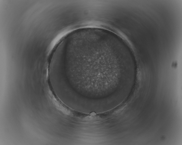 X0000110701368200907021948