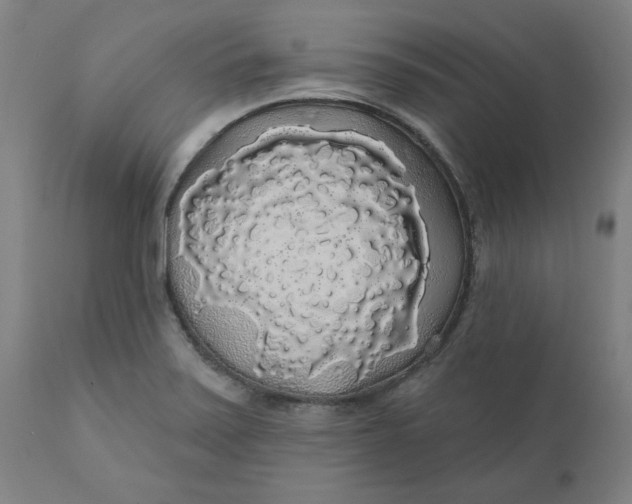 X0000110701371200907021948