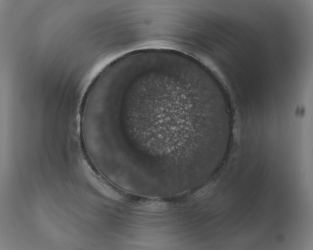 X0000110701372200907021948