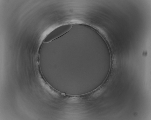 X0000110701373200907021947