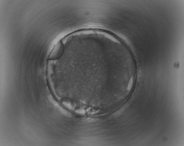 X0000110701374200907021947