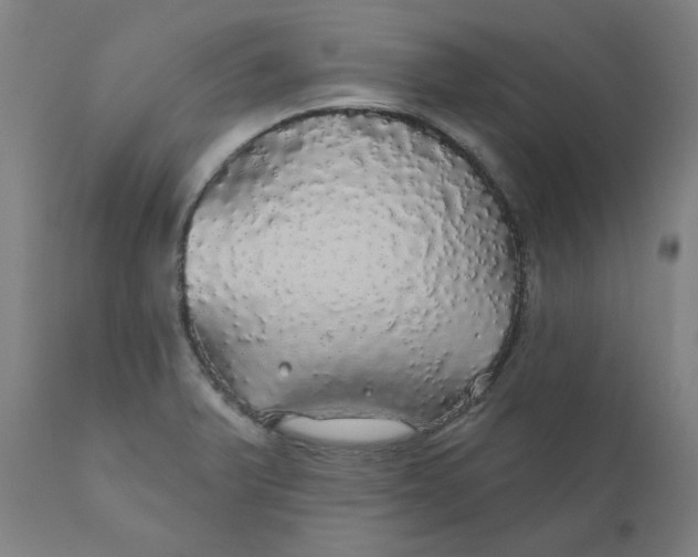 X0000110701375200907021947