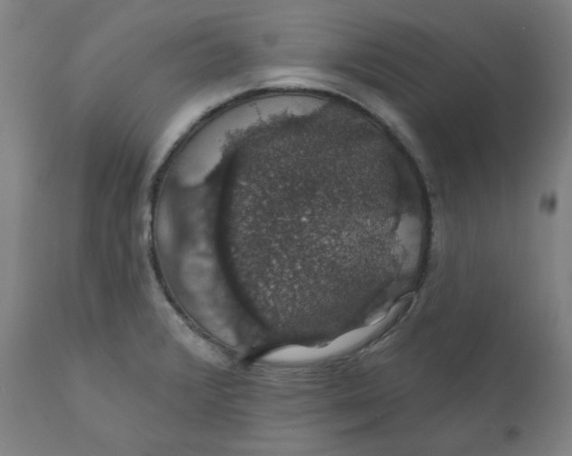 X0000110701376200907021947