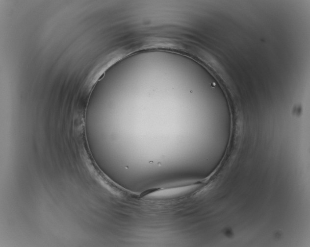 X0000110701377200907021947