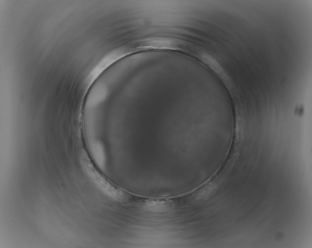 X0000110701378200907021947