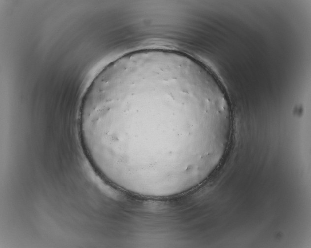 X0000110701379200907021947