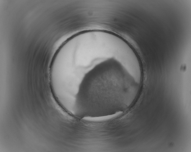 X0000110701380200907021947