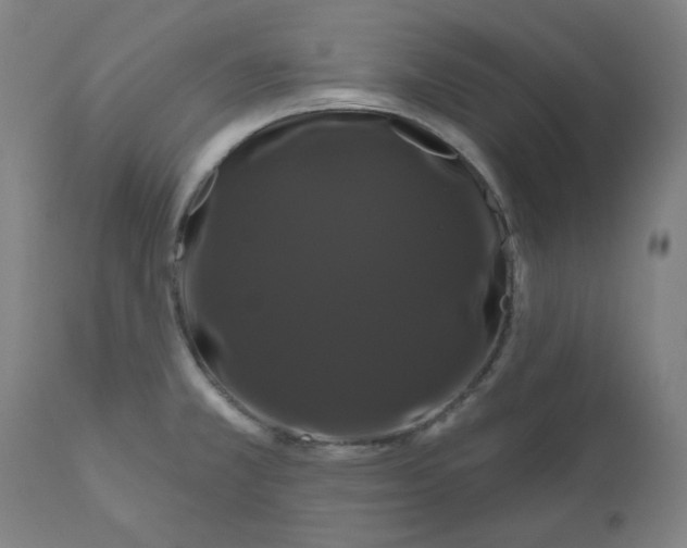 X0000110701381200907021947