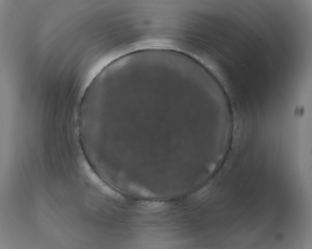 X0000110701382200907021947