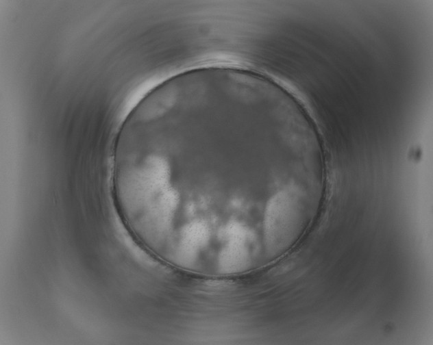 X0000110701383200907021947