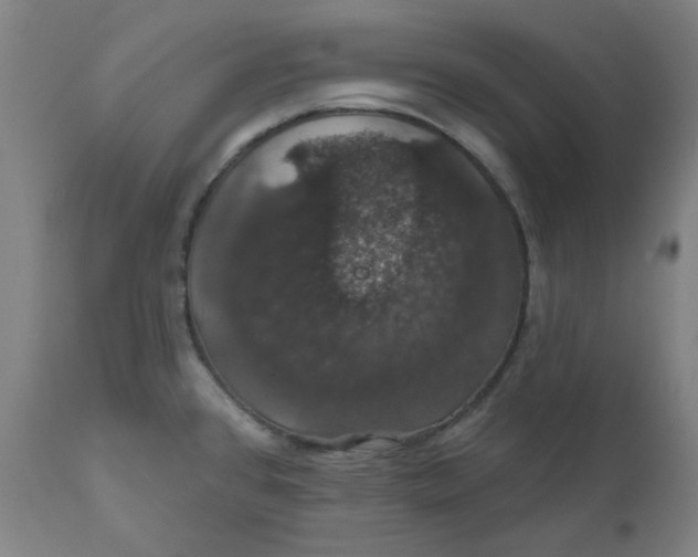 X0000110701384200907021947